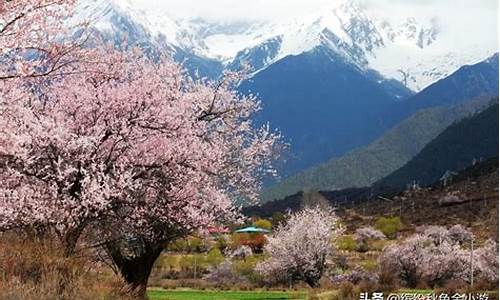 林芝景点海拔多少_林芝景点海拔多少米